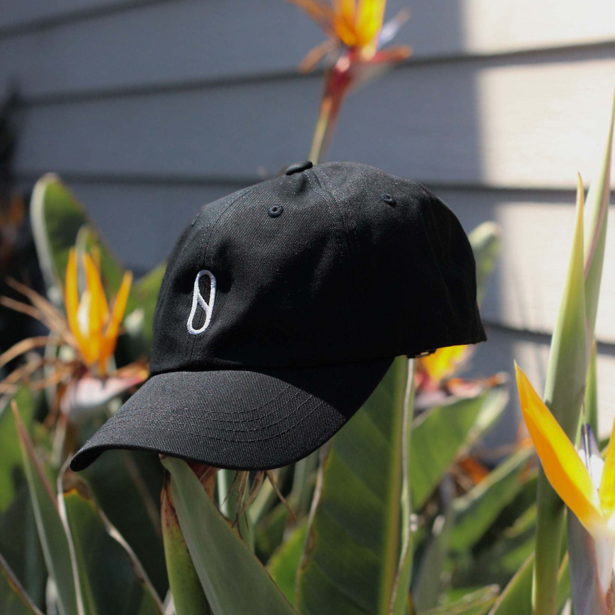 Slater Designs Pill Dad Hat