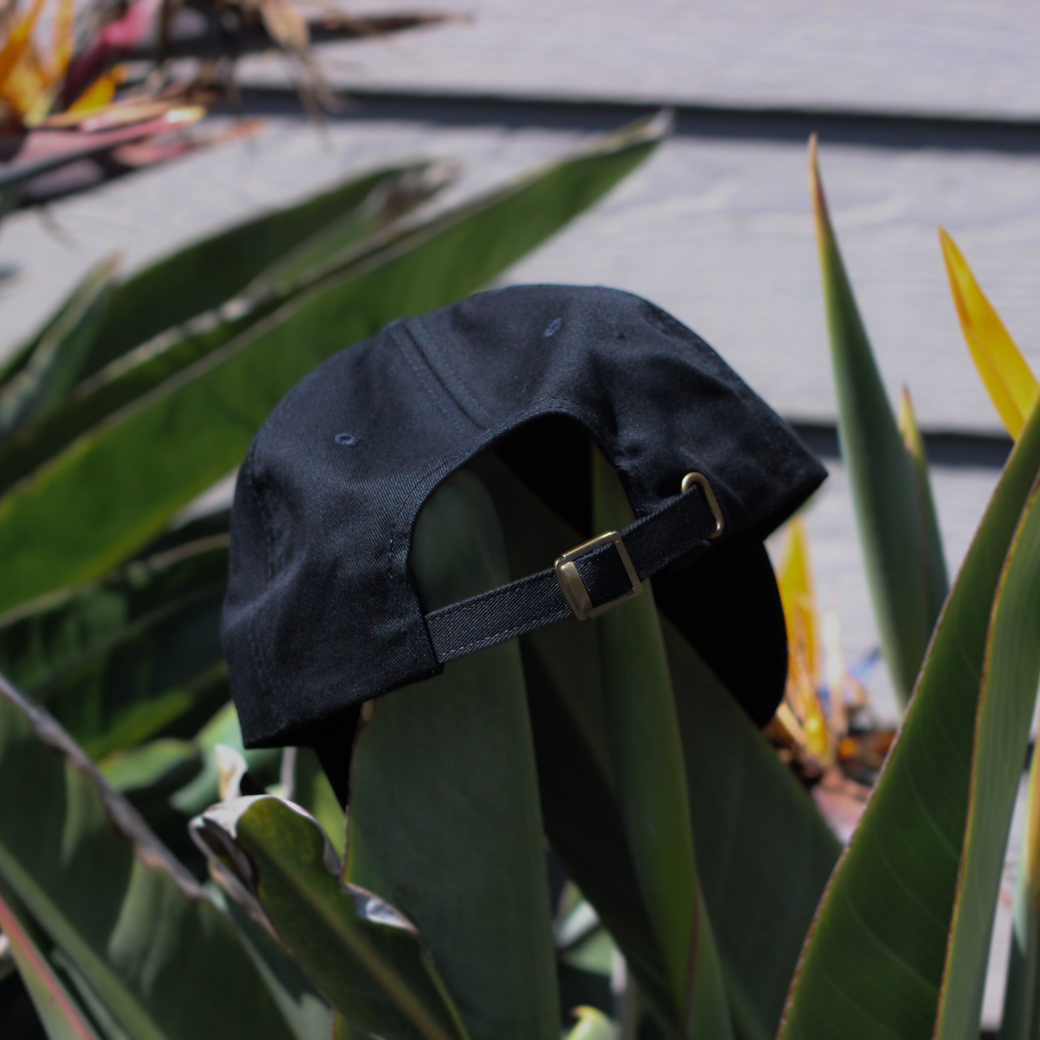 Slater Designs Pill Dad Hat