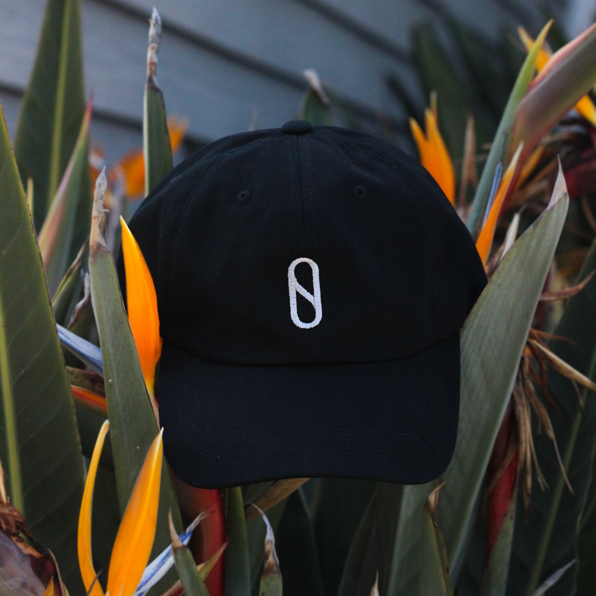 Slater Designs Pill Dad Hat